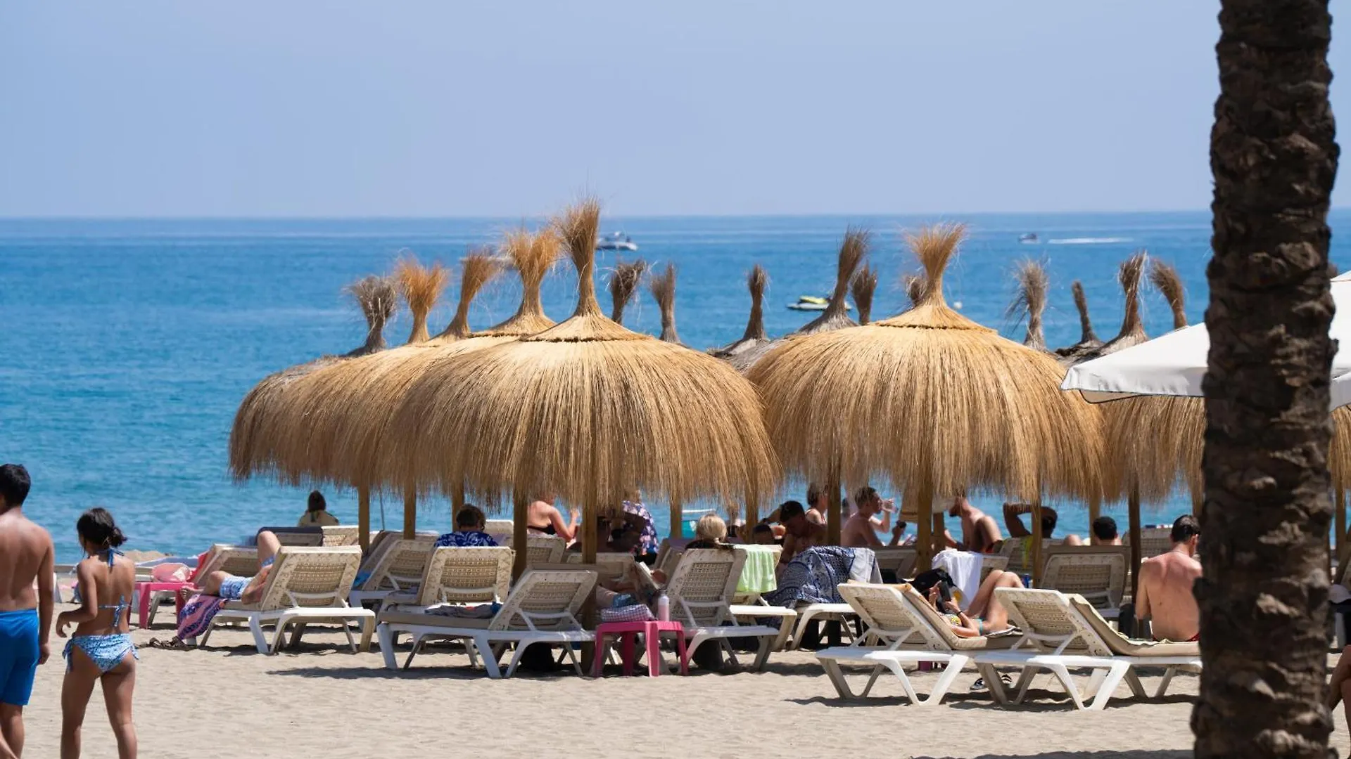 Beachside Oasis 951 Marbella