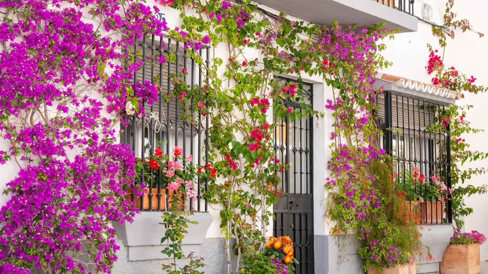 Apartment Beachside Oasis 951 Marbella